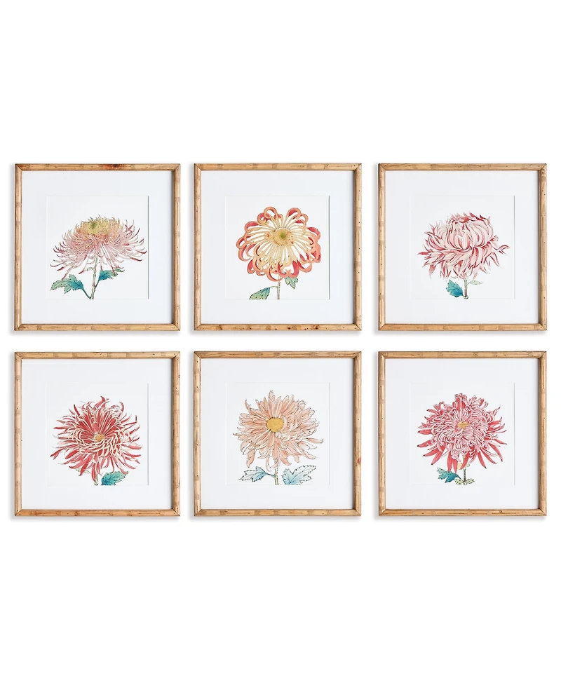 Colorful Chrysanthemum Prints St/6