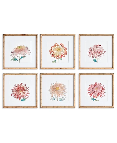 Colorful Chrysanthemum Prints St/6