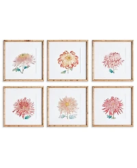 Colorful Chrysanthemum Prints St/6
