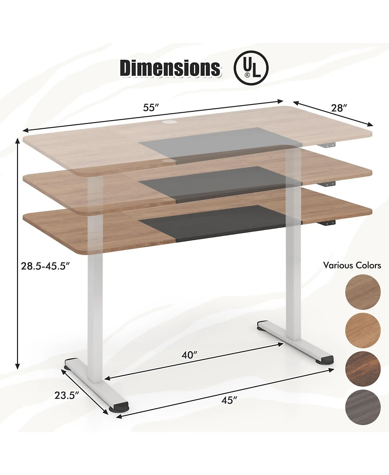 55 Inch Electric Standing Desk Adjustable with Cable Management Hole