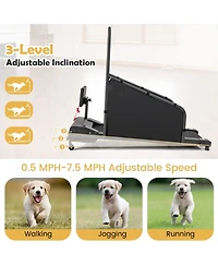 Indoor Pet Exercise Equipment with Remote Control