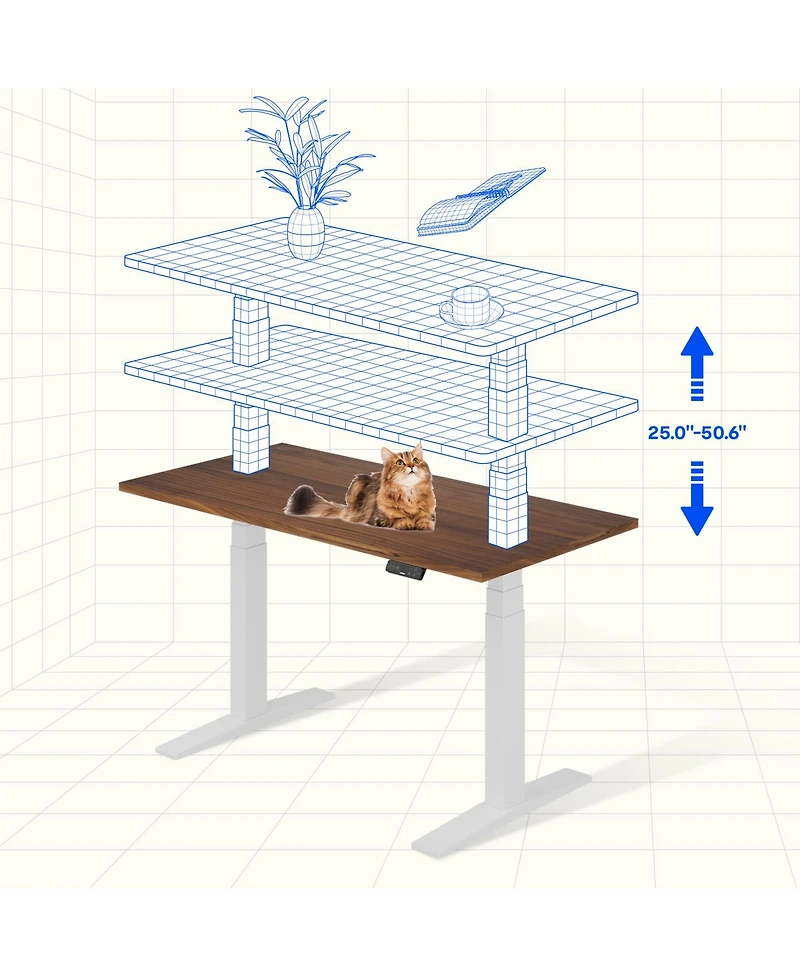 Flexispot E7-commercial W Electric Adjustable Standing Desk, Black Walnut Top