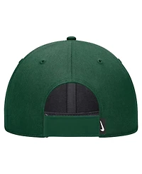 Nike Big Boys and Girls Green Baylor Bears 2024 Sideline Club Adjustable Hat