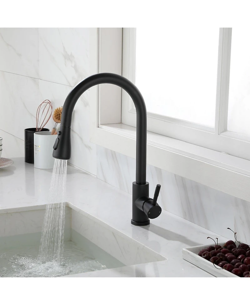 Kitchen Faucet with Pull Out Spraye
