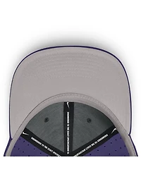 Nike Men's / Clemson Tigers On-Field Dugout True Performance Fitted Hat