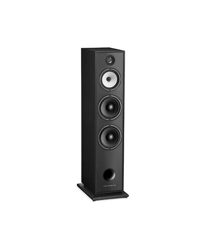 Triangle Borea BR10 Floorstanding Speaker - Best Tower Speakers for Audiophiles (Each
