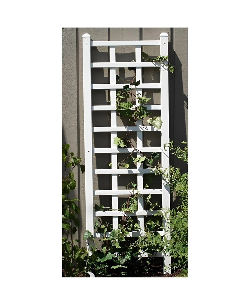 Decorative Wall Trellis for Climbing Plants and Outdoor Garden Decor