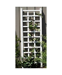 Decorative Wall Trellis for Climbing Plants and Outdoor Garden Decor