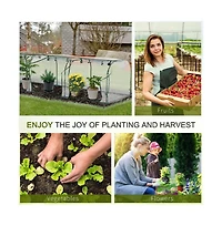 Mini Pvc Greenhouse, Compact Indoor Gardening Solution for Plants and Seedlings