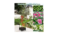 Spacious Garden Bed for Healthy Plant Growth and Organized Outdoor Gardening