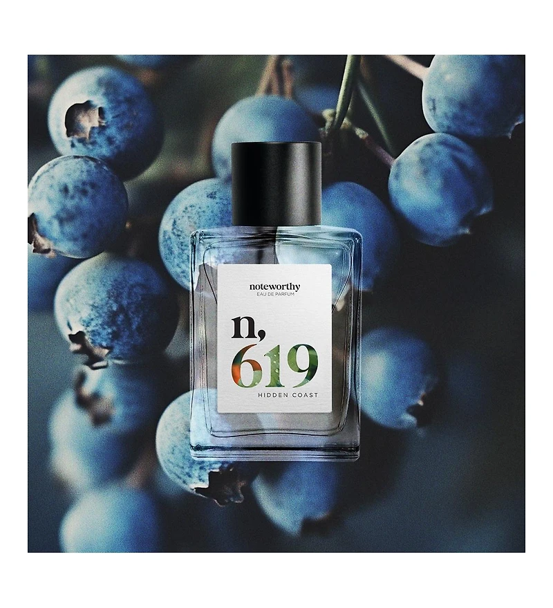 Noteworthy n,619 Eau De Parfum | Hidden Coast | Woody Amber Fragrance