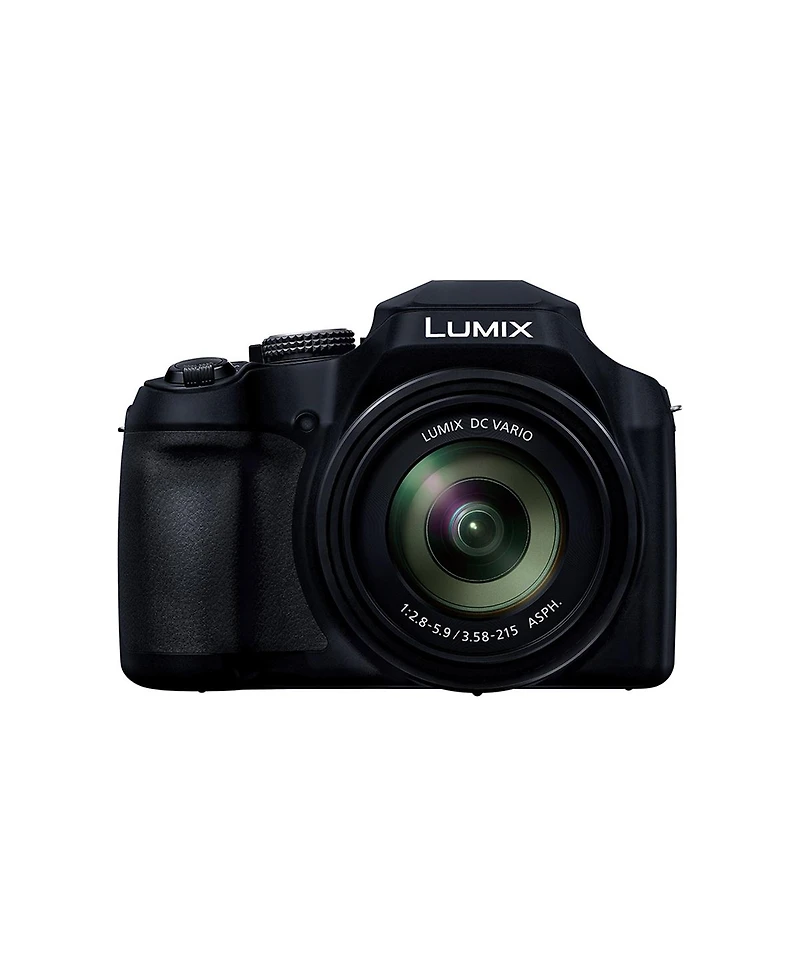Panasonic Lumix FZ80D Point & Shoot Digital Camera, Bundle with 64GB Sd Card, Bag, Extra Battery, Flexible Tripod, Mini Led Light, Filter Kit,
