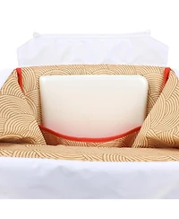 Takeout Noodle Box Backpack