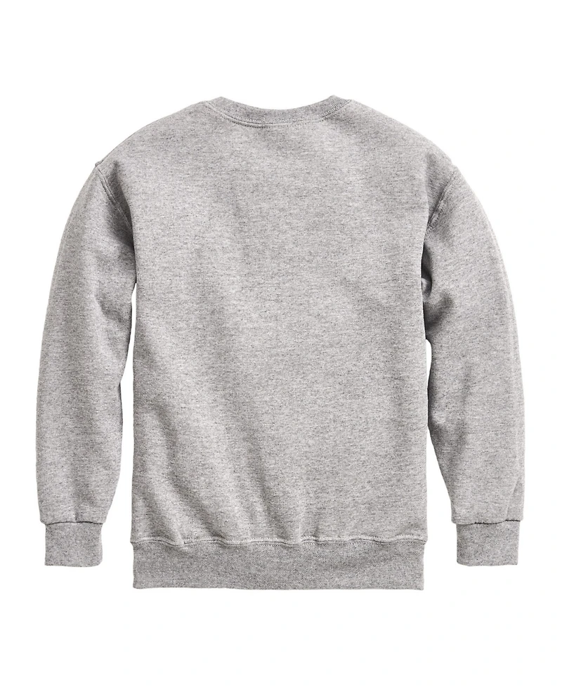 Hybrid Big Boys Peanuts Snoopy Heart Graphic Sweatshirt