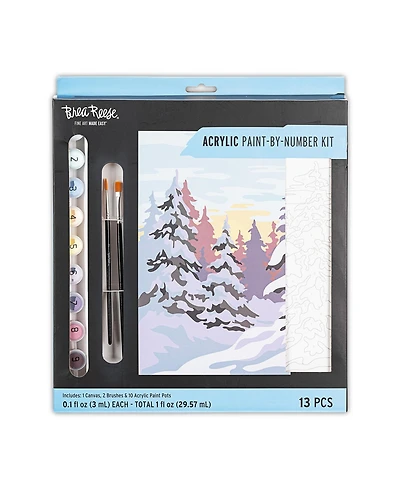 Acrylic Paint-By-Number Kit