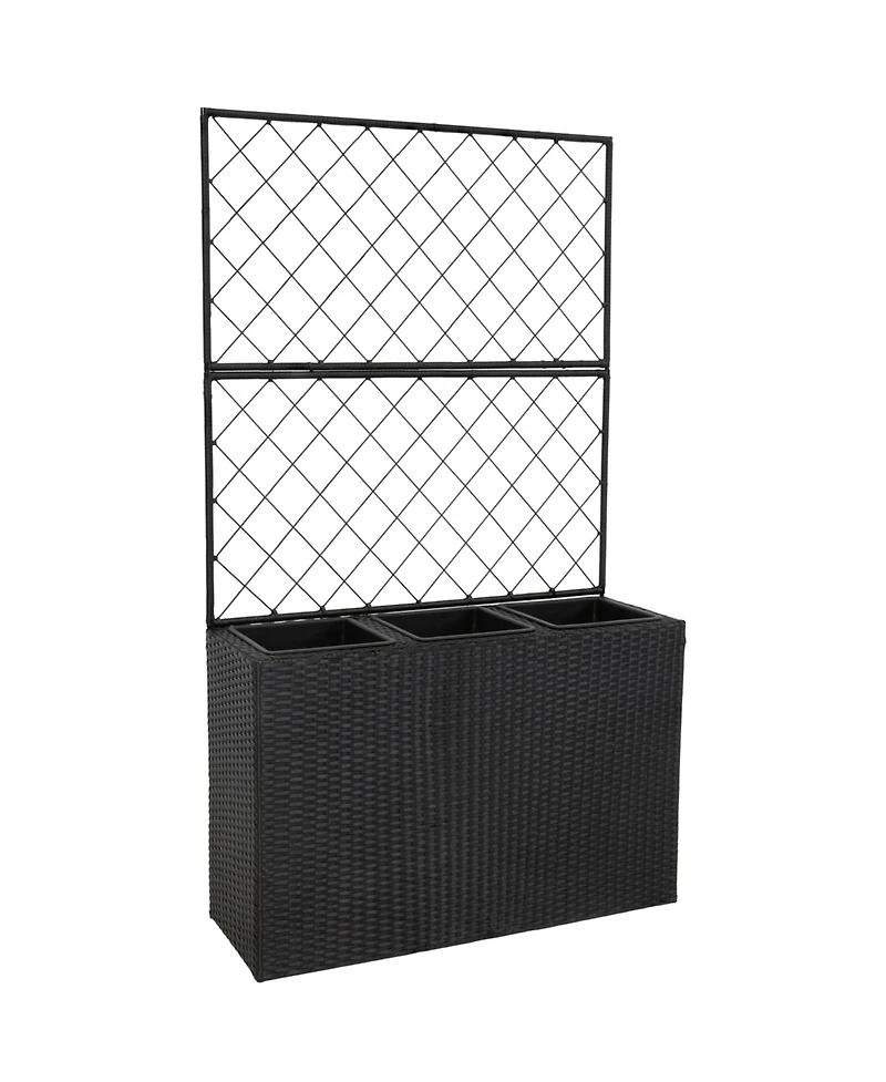 3-Section Wicker Planter Box with Trellis for Indoor or Outdoor Use - Black