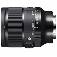Sigma 24mm f/1.4 Dg Dn Art Lens for Sony E Bundle with Backpack, Strap, 72mm Filter Kit, Lens Cleaner, Cleaning Kit, Lens Cap Tether