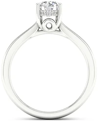 Diamond Hidden Halo Engagement Ring (3/4 ct. t.w.) in 14k White Gold