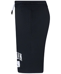 Jordan Big Boys Mesh Logo Shorts
