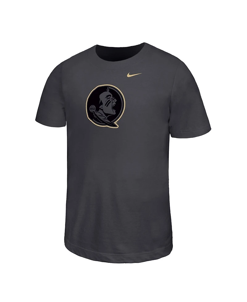 Nike Big Boys and Girls Charcoal Florida State Seminoles Legend Color Pop Performance T-Shirt