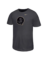Nike Big Boys and Girls Charcoal Florida State Seminoles Legend Color Pop Performance T-Shirt
