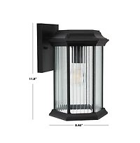 Hylan 8.46" Outdoor Sconce