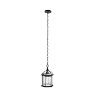 Falyn 10" Outdoor Pendant
