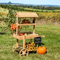 Country Market Flower Cart Display Stand - 49.25” H