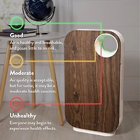 Oval Air H13 Hepa 5-in-1 Purifier, 600 sq. ft. Coverage – Reduces Allergies