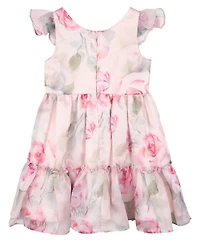 Rare Editions Toddler and Little Girls Floral Organza Party Dress