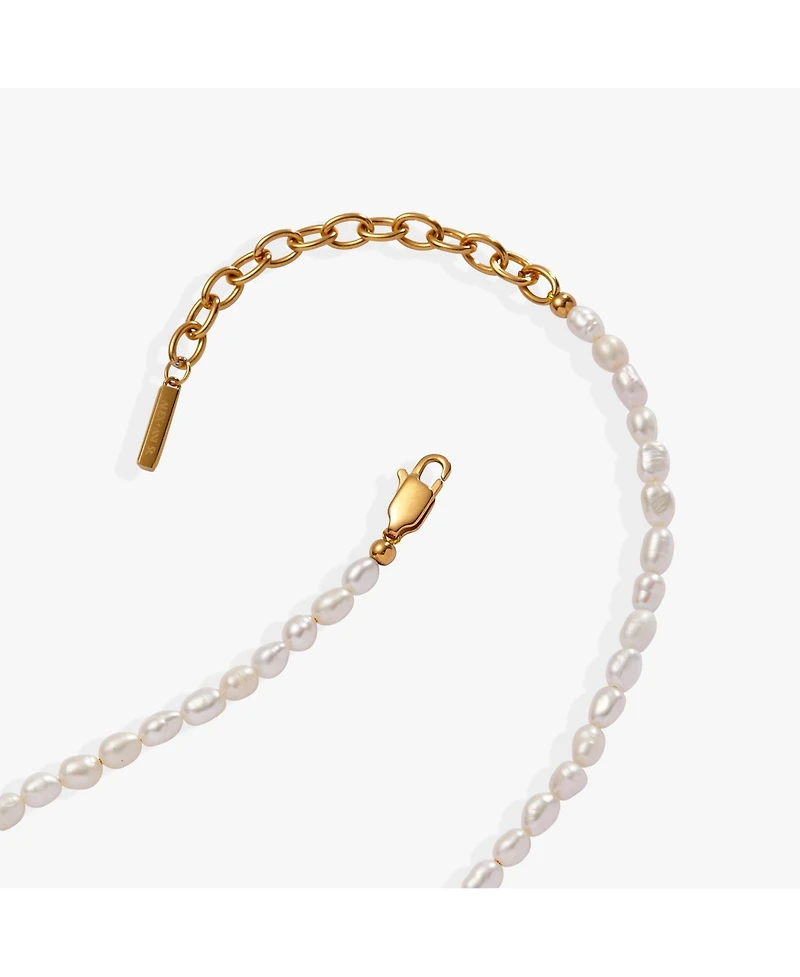Alex and Ani Freshwater Pearl Necklace