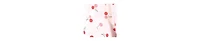 Hudson Baby Girls Four-Piece Essential Shorts