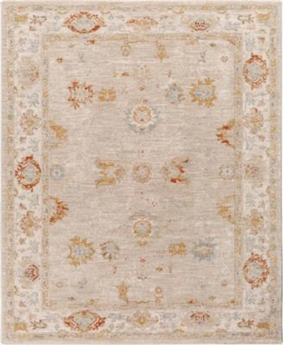 Livabliss Avant Garde Avt 2310 Rug Collection