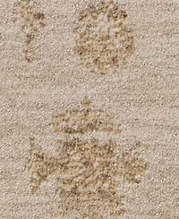 Loloi Willa Wia-07 5'3x7'6" Area Rug