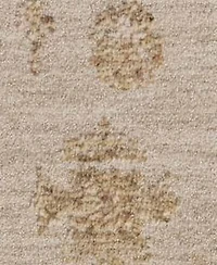 Loloi Willa Wia Rug Collection
