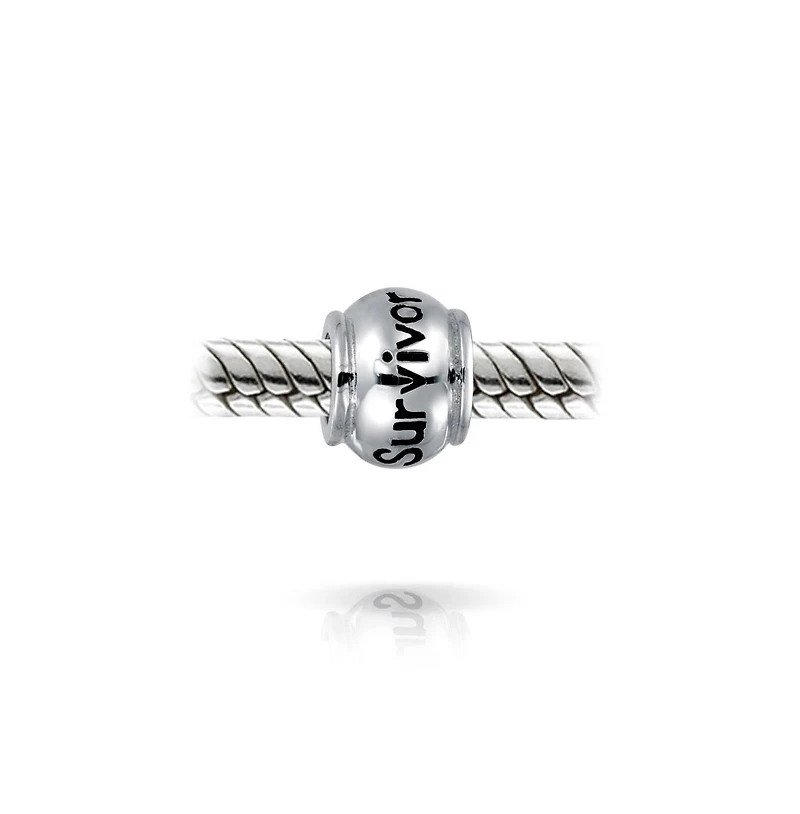 Bling Jewelry Word Survivor Message Inspirational Barrel Charm Bead .925 Sterling Silver Fits European Bracelet