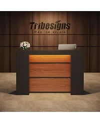 Tribesigns Reception Desk with Led Lights, 63 Inches Front Counter Desk for Checkout, Lobby, Salon, Retail, Modern Large Counter Table for Store Shop
