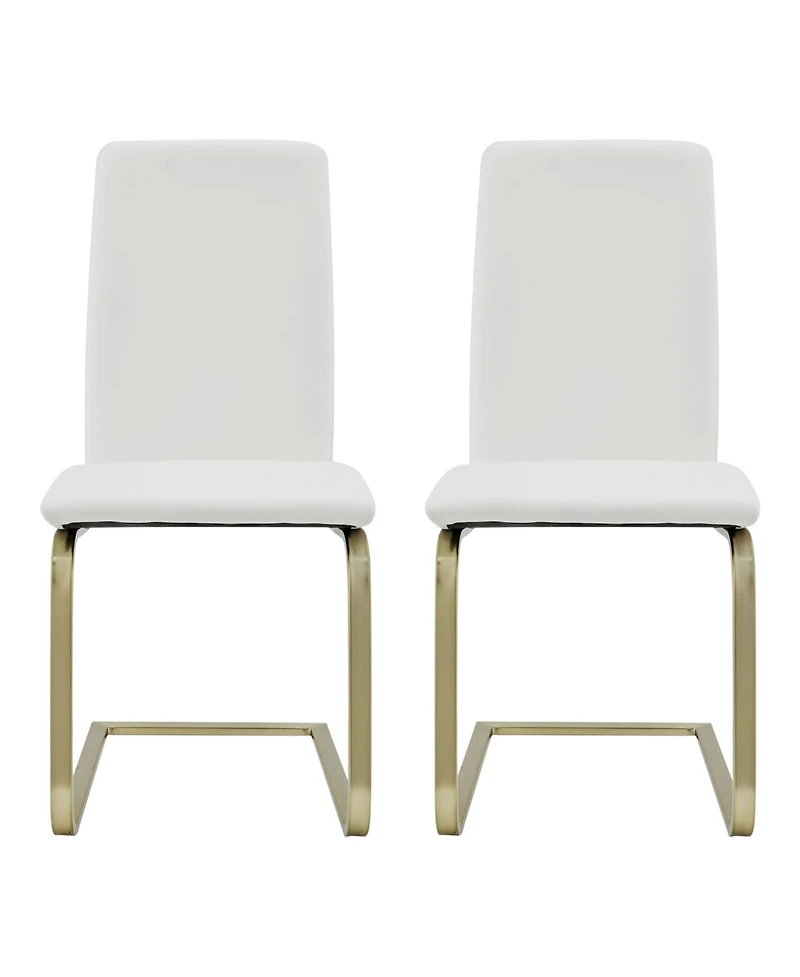 Set of 2 Modern Dining Chairs for Kitchen Table or Home Seating