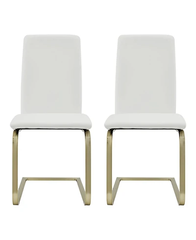 Set of 2 Modern Dining Chairs for Kitchen Table or Home Seating