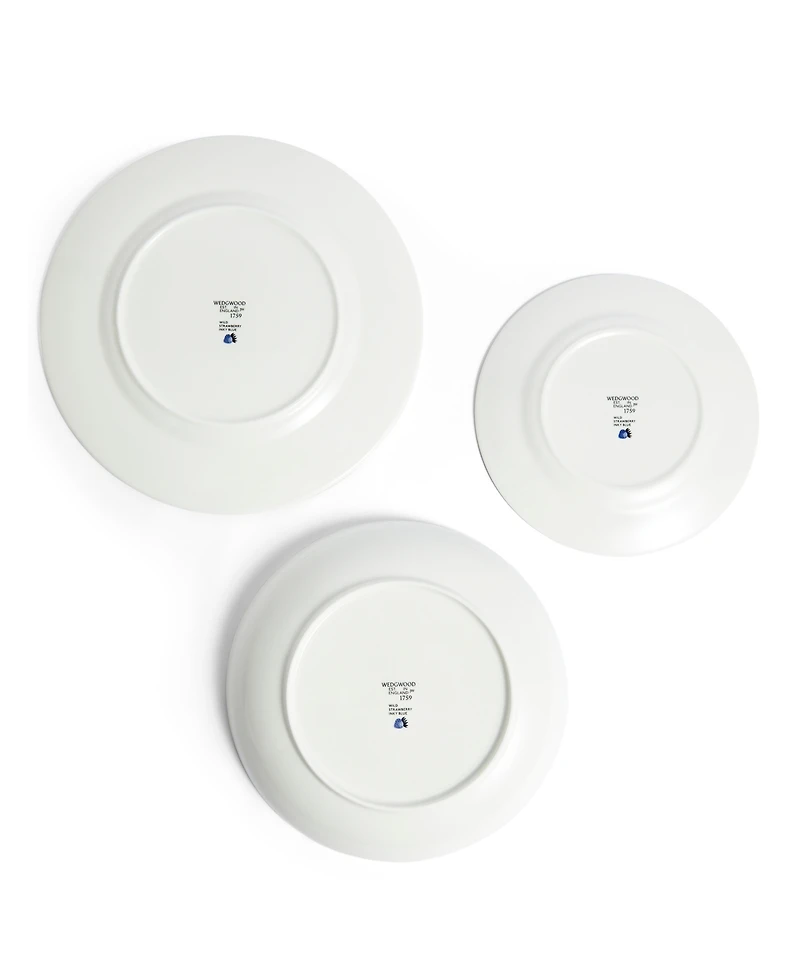 Wedgwood Wild Strawberry 4-Pc. Dinnerware Set