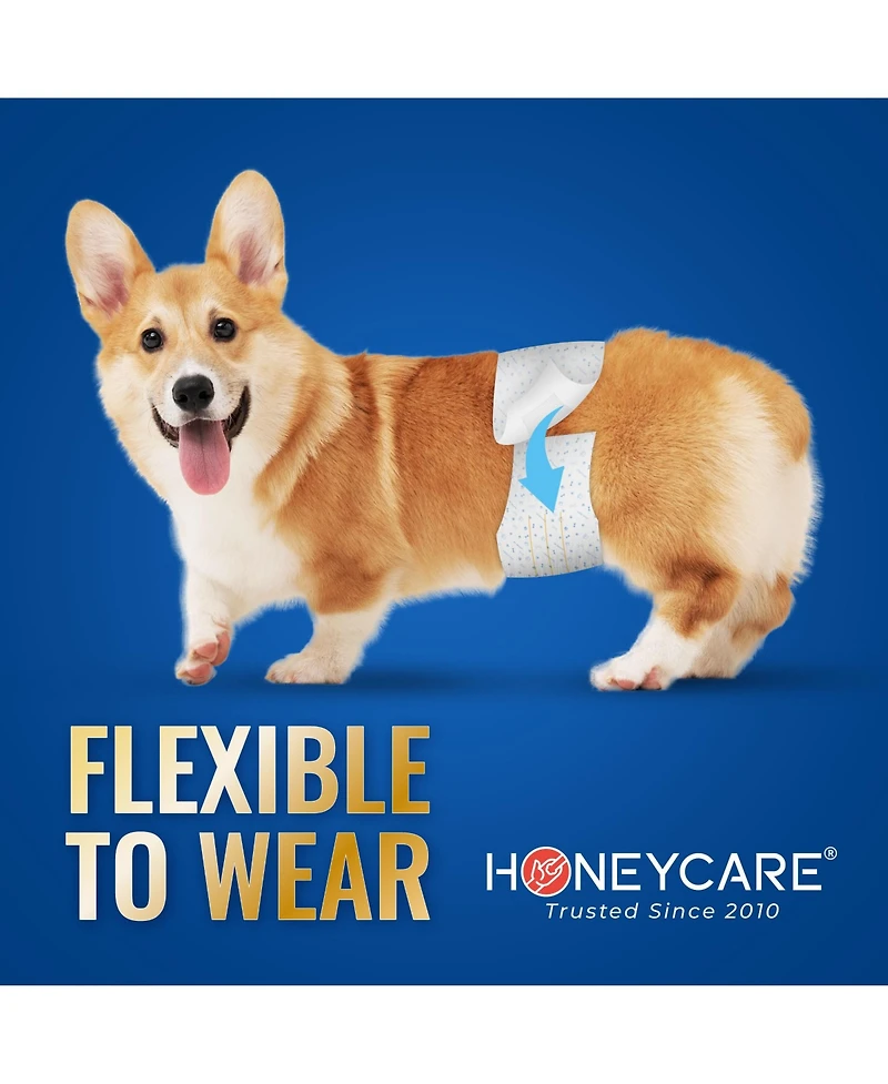 HoneyCare Paw & Dog Bone Print All-Absorb A26 Male Dog Wrap, Small, 100ct