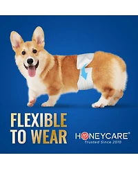 HoneyCare Paw & Dog Bone Print All-Absorb A26 Male Dog Wrap, Small, 100ct