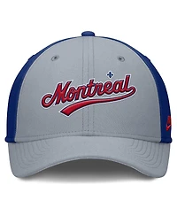 Nike Men's Gray/Blue Montreal Expos Rise Swoosh Performance Flex Hat