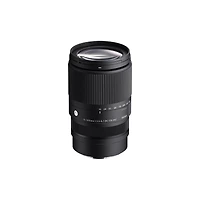 Sigma 16-300mm f/3.5-6.7 Dc Os Contemporary Lens for L Mount, Black