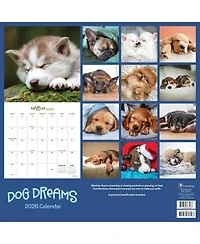 2026 Dog Dreams Wall Calendar