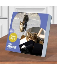 2026 Cat A Day Daily Desktop Calendar