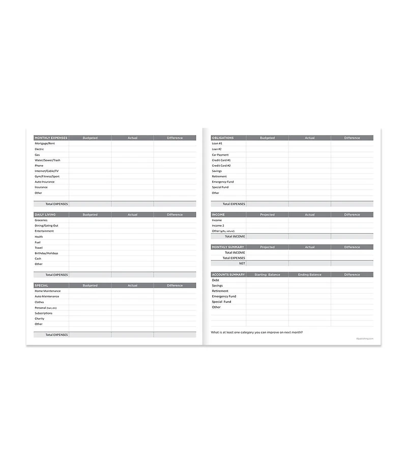 Big Money Striped Planner