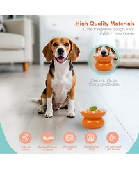 P.t. Supply Co. Orange Shaped Stoneware Elevated Pet Bowl, Raised Ceramic Food & Water Dish for Dogs and Cats