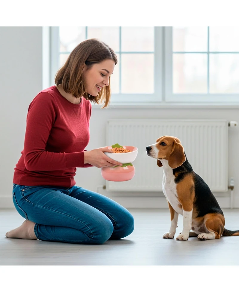 P.t. Supply Co. Strawberry Shaped Stoneware Elevated Pet Bowl, Raised Ceramic Food & Water Dish for Dogs and Cats