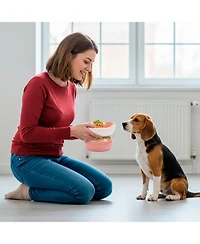 P.t. Supply Co. Strawberry Shaped Stoneware Elevated Pet Bowl, Raised Ceramic Food & Water Dish for Dogs and Cats
